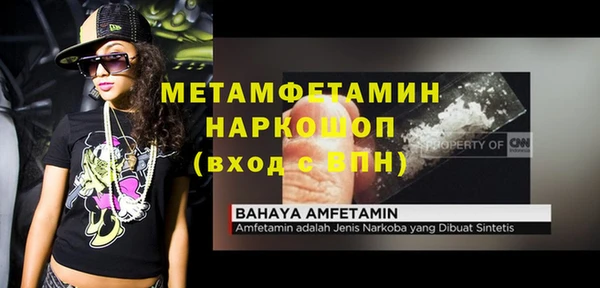 шишки Медногорск