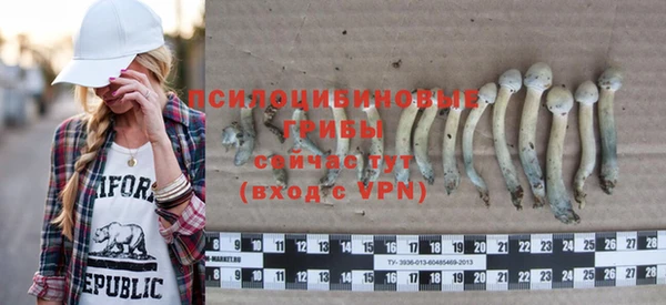 стафф Магадан