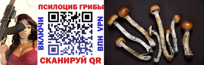 Купить где  Аткарск  Псилоцибиновые грибы мухоморы 
